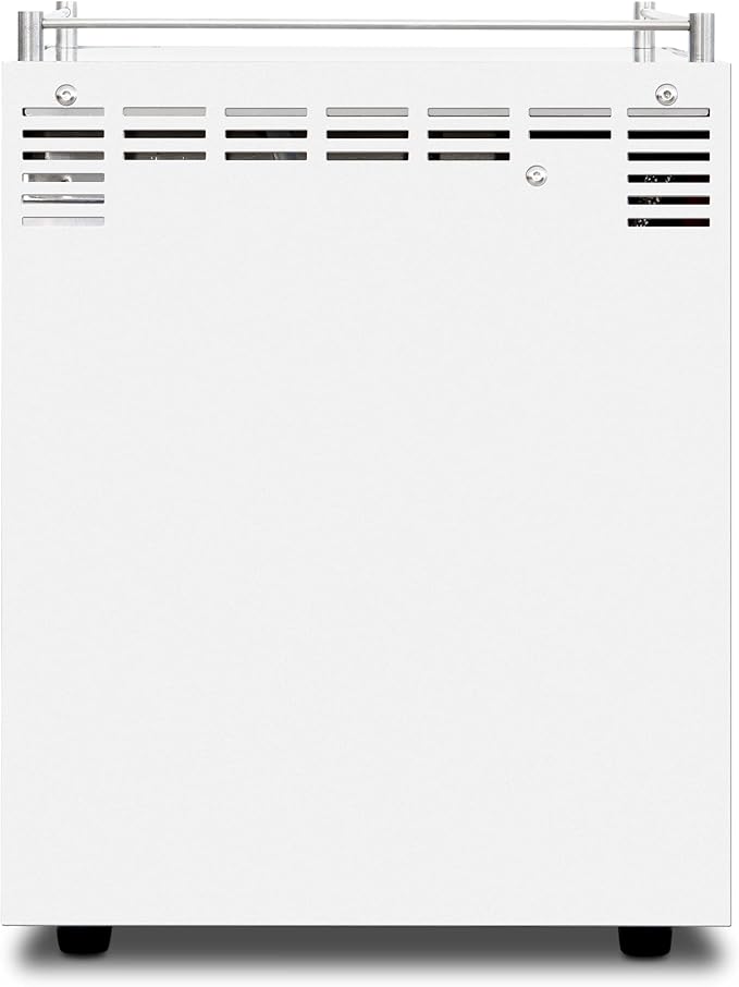 Ascaso Steel DUO Espresso Machine | PID | Programmable | Volumetric Controls | Dual Thermoblock | 120V | (White)