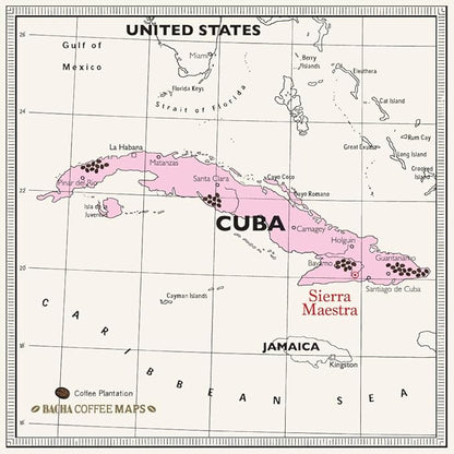 Bacha Coffee | Turquino Cuba Single Origin, 100% Arabica Specialty Coffee Beans, Medium Dark Roast, x12 Individually Wrapped Single Serve Filter Bags