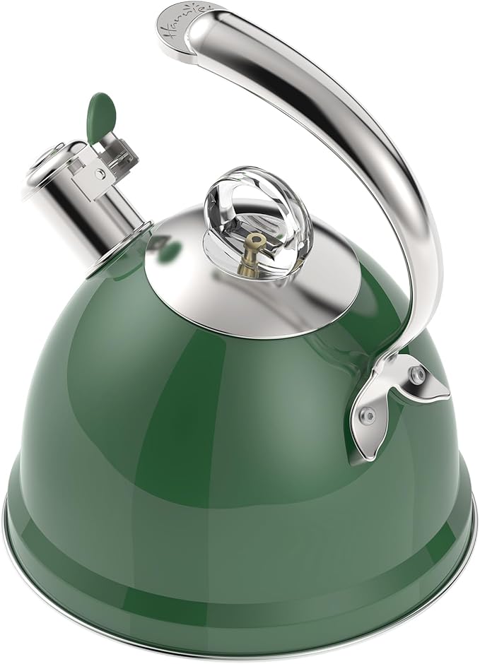 Harriet Tea Kettle Stovetop, 2.5 Quart Whistling Stainless Steel Tea Pot, 3-Layer Base, Unique Ergonomic Handle, Includes Pot Holder & Mat, Electric/Induction/Gas Stovetops Applicable, Green