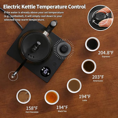 Water Kettle Electric,Gooseneck Electric Kettle with 50pcs Coffee Filter,±1℉ Temperature Control, Fast Heating, Stainless Steel Interior, Ideal for Precise Pour-Over Coffee and Tea
