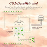 Load image into Gallery viewer, WT WEETEE Decaf Chai Tea Bags 50 Count, Blend CO2 Decaffeinated Black Tea with 6 Spices Chai, Rich &amp; Cinnamon Aroma, Dairy &amp; Flavoring Free