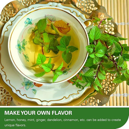 WT WEETEE Nettle Leaf Tea Bags, Made with 100% Pure Stinging Nettle Leaf, Natural Caffeine-free Herbal Tea Rich in Vitamins & Minerals,1.5g x 100 Counts