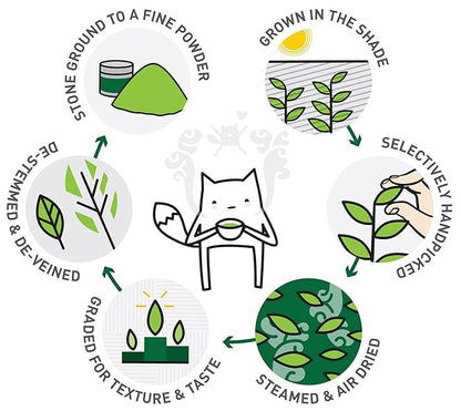 Matcha Green Tea Powder - Organic Culinary Grade Matcha, Second Harvest for Lattes & Drinks, Pure, Authentic Japanese - 125 Servings 250g Bulk Size [8.8oz] - Antioxidants, Energy & Health