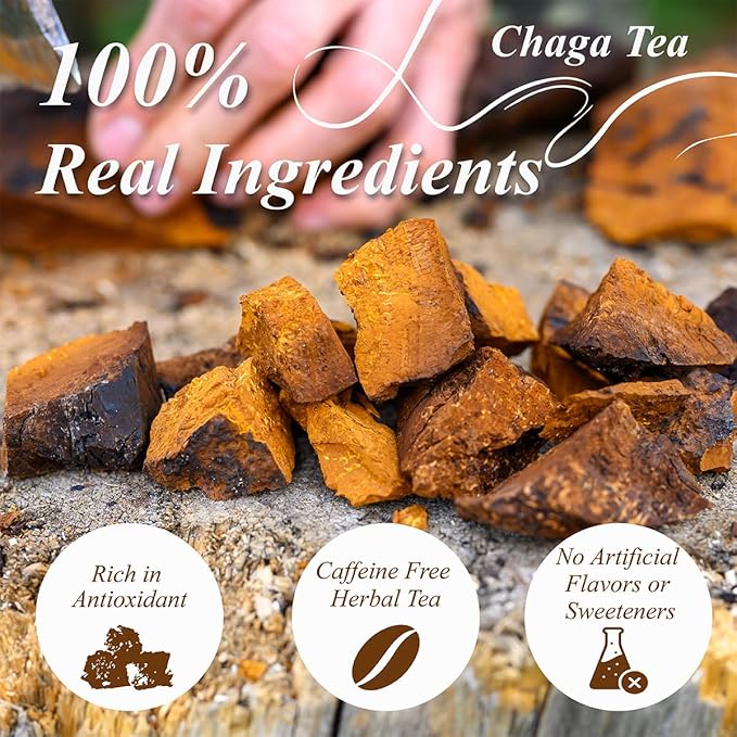 WT WEETEE Chaga Tea Bags 100 Count, 100% Siberian Birch Chaga Mushroom Tea, Caffeine-Free - Rich in Antioxidants