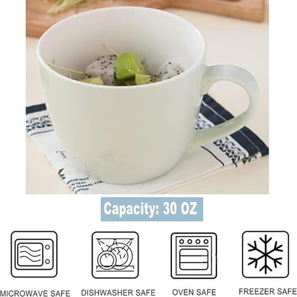 MECOWON 30 OZ Porcelain Coffee Mugs, Set of 2 Large Mugs for Soup, Cereal and Salad (Turquoise)