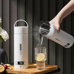 Load image into Gallery viewer, Electric Travel Kettle,500mL Capacity,316 Stainless Steel,with 4 Variable Presets Temperature Control,Digital Display (Kettle+brush)