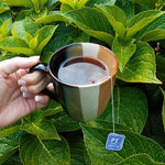 Load image into Gallery viewer, Organic Positively Tea Company, Decaf English Breakfast Black Tea Bags, 20 Count