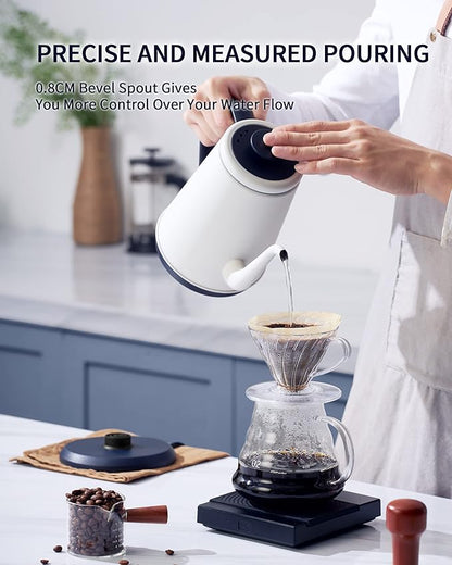 DmofwHi Gooseneck Electric Kettle(1.0L),1000W Electric Tea Kettle of 304 Stainless Steel,Auto Shut off,Coffee Kettle for Pour Over and Tea -White