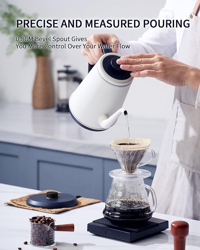 DmofwHi Gooseneck Electric Kettle(1.0L),1000W Electric Tea Kettle of 304 Stainless Steel,Auto Shut off,Coffee Kettle for Pour Over and Tea -White