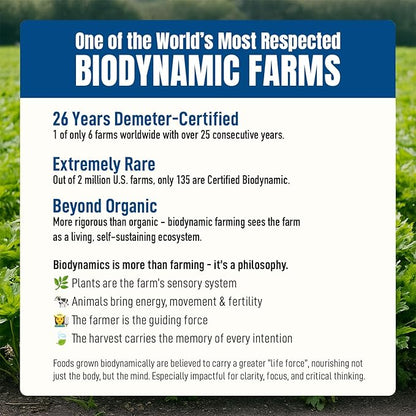 Dr. Cowan’s Garden Organic Ashitaba Green Tea - 20 Teabags - Metabolic Support Herbal Tea Bags with Turmeric Powder, Calming Digestive Support for Health & Well-Being, Ashitaba Herbs Grown in the USA