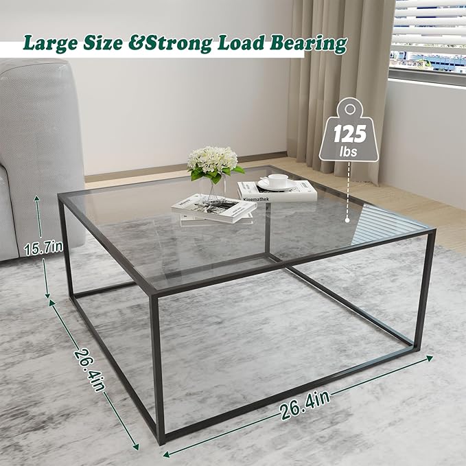 Glass Coffee Tables for Living Room Square Modern Center Table for Small Space,Tempered Glass-top with Sturdy Metal Frame Sofa Side End Table, Easy Assembly,26.4 x 26.4 x 15.7 Inches, Gray Black