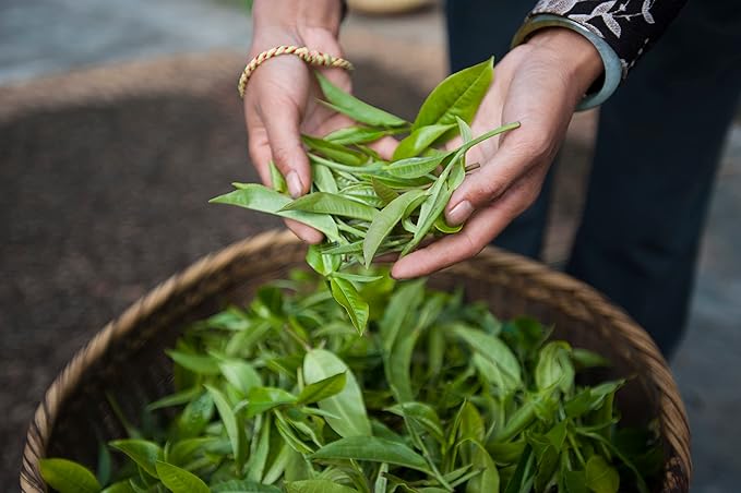 Palais des Thés - Big Ben English Breakfast - Yunnan & Assam Black Tea - 3.5oz Loose Leaf Metal Gift Tin, Serves 20-25 Cups