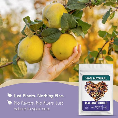 Blue Mallow and Quince Herbal Tea – Loose Leaf Caffeine Free Tea – Floral Fruity Relaxing Tea – 100% Natural Ingredients – Te de Malva - 4 oz