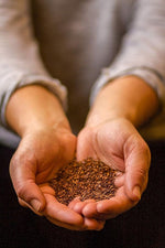 Load image into Gallery viewer, Golden Moon Organic Rooibos (192 Servings) Loose Leaf Long Cut Tea