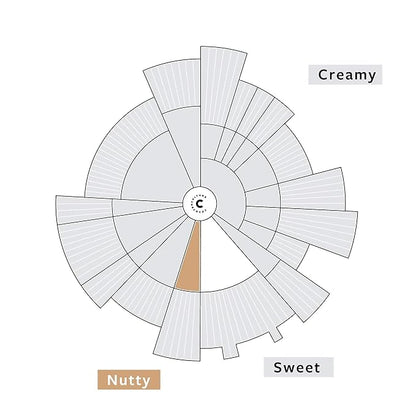 Counter Culture Coffee Fast Forward - Light Roast, Organic, Sustainably Farmed, Kosher, Whole Bean Coffee, 12 oz (1 Bag)