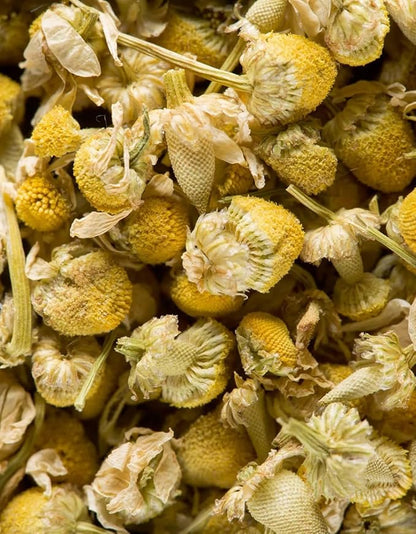 Dammann Freres Loose Leaf, Chamomile, Premium Gourmet French Herbal Tea, 1.2 Ounce Tin