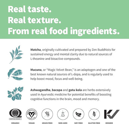 Sprout Living Epic Protein, Plant Based Protein & Superfoods Powder, Mindful Matcha | 17 Grams Organic Protein Powder, Vegan, Non-GMO, Gluten Free, Adaptogens + Nootropics (1 Pound, 12 Servings)