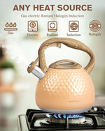 Load image into Gallery viewer, Tea Kettle,2.5 Quart Stovetop Tea Kettles Loud Whistle,Food Grade Stainless Steel Water kettles for Stove Top with Anti-hot Ergonomic Handle,Suitable for All Heat Sources