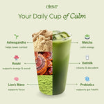 Load image into Gallery viewer, Clevr Blends Pistachio Matcha SuperLatte, Organic Ceremonial Grade, Instant Superfood Powder Blend with Lions Mane, Reishi Mushroom, Coconut Cream, Oat Milk, Ashwagandha, Serve Hot or Iced (14 Lattes)