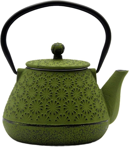 Cast Iron Teapot, 20.3oz Enameled Interior, Stainless Steel Infuser for Loose Tea (Green Gerbera Pattern)