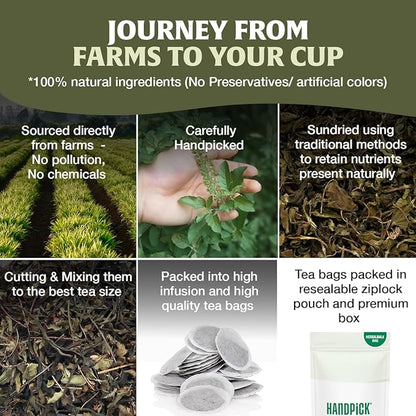HANDPICK Original Tulsi Tea (100 count) Holy Basil Calming and Stress Relief Tea, Immune Support | Non-GMO, Caffeine-Free Herbal Tea | Ecofriendly Round Tea Bags