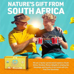 Load image into Gallery viewer, Caffeine Free South African Honeybush Tea 40 Decaf Tea Bags - Premium Tea Safe for Children, Pregnant Women and Nursing Moms – Naturally Sweet, Sustainably Sourced and Ethically Farmed in South Africa