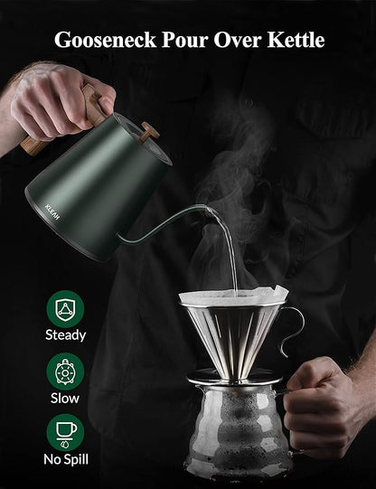 KLEAH Gooseneck Electric Kettle with Temperature Control - 0.8L Automatic Shut Off Tea & Coffee Kettle, Hot Water Boiler Pour Over Coffee Kettle, 1200W Quick Heating Keep Warm, Green