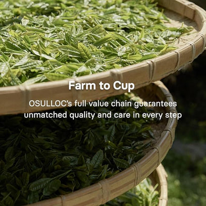 OSULLOC Volcanic Isle Matcha Powder, Premium Korean Matcha, Green tea powder from Jeju Island (2.12oz, 60g)