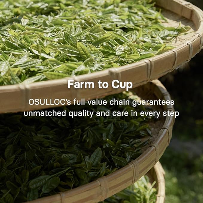 OSULLOC Volcanic Isle Matcha Powder, Ceremonial Grade Korean Matcha for lattes, Green tea powder from Jeju island (1.41oz, 40g)