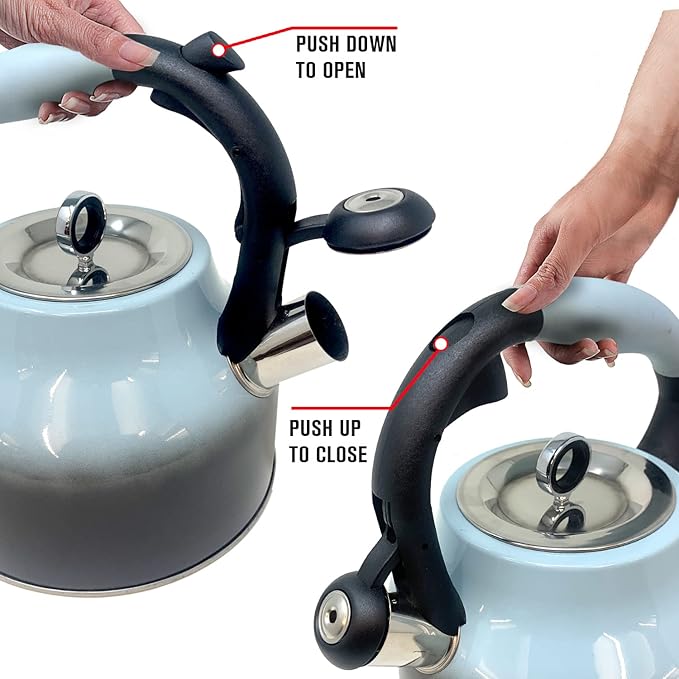 Emeril Lagasse 2.6 Quart/2.5 Liter Whistling Tea Kettle, Stainless Steel Tea Pot for Induction Stove Top, Fast to Boil Water for Home Kitchen Condo, with Ergonomic Cool Grip Handle, Turquoise