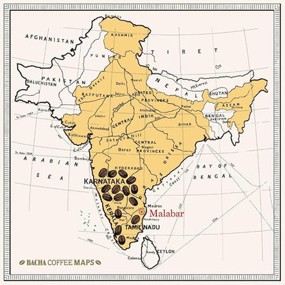 Bacha Coffee | Monsoon Secret India Single Origin, 100% Arabica Specialty Coffee Beans, Medium Dark Roast, x12 Individually Wrapped Single Serve Filter Bags