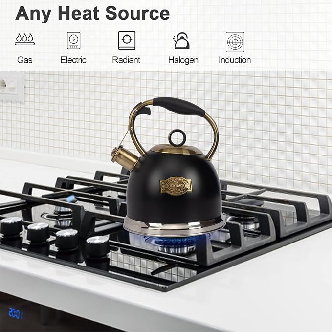 Tea Kettle -3.0 Quart Tea Kettles Stovetop Whistling Teapot Stainless Steel Tea Pots for Stove Top Whistle Tea Pot