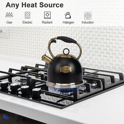 Tea Kettle -3.0 Quart Tea Kettles Stovetop Whistling Teapot Stainless Steel Tea Pots for Stove Top Whistle Tea Pot