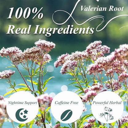 WT WEETEE Valerian Root Tea Bags, Made with Pure Valerian Root (Valeriana), 50 Count Earthy/Woody Herbal Tea Bags, Naturally Caffeine-free