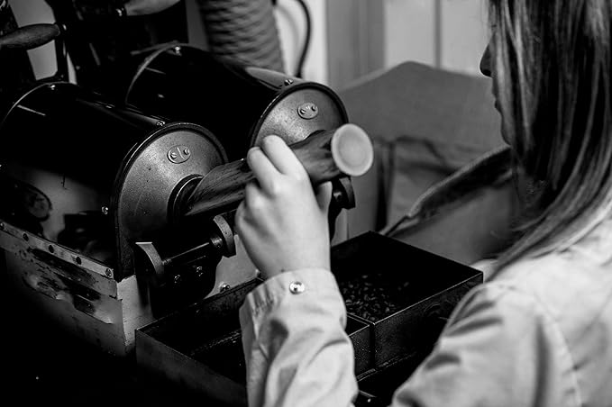 Bristot 100% Arabica Ground Coffee – Italian Espresso Delicato – Medium Roast – Ground Coffee for Moka Pot, French Press & Pour Over – 8.8oz (250g) (Pack of 2)