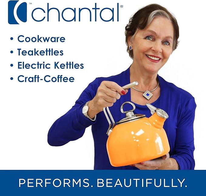 Chantal "Lotus" ceramic pour over coffee dripper, 8 ounces, Fade Grey