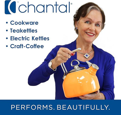 Chantal "Lotus" ceramic pour over coffee dripper, 8 ounces, Fade Grey