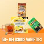 Load image into Gallery viewer, Twinings Orange &amp; Cinnamon Spice Herbal Tea Individually Wrapped Bags, 20 Count (Pack of 1), Naturally Caffeine-Free, Enjoy Hot or Iced, 20 Teabags