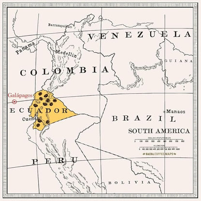 Bacha Coffee | San Cristóbal Ecuador Single Origin, 100% Arabica Specialty Coffee Beans, Medium Dark Roast, x12 Individually Wrapped Single Serve Filter Bags