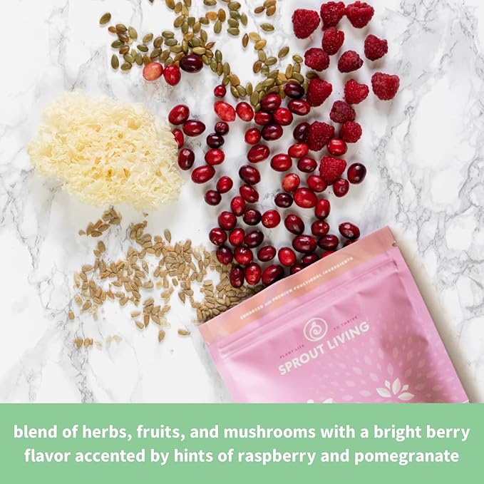 Sprout Living Epic Protein, Plant Based Protein & Superfoods Powder, Pro Collagen, Berry | 15 Grams Organic Protein Powder, Vegan, Non Dairy, Non-GMO, Gluten Free, Low Sugar (0.7 Pound, 12 Servings)