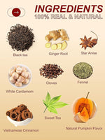 Load image into Gallery viewer, TeeLux Pumpkin Spice Black Tea Bags, Mellow Black Tea with Cinnamon, Cloves, Ginger &amp; Creamy Pumpkin Flavor, Warm &amp; Aromatic, 100 Count