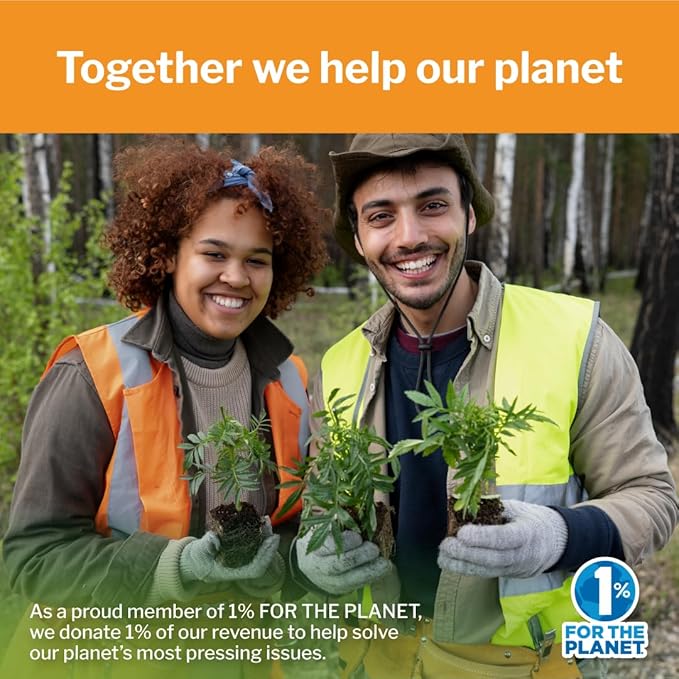 Opportuniteas Organic Turmeric Tea Powder - Matcha Green Tea, Turmeric, Cinnamon, Ginger, Black Pepper - Natural Joint Support - Vegan & Non-GMO - 30 Servings