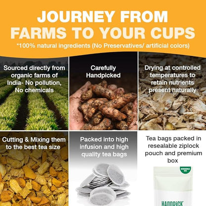 HANDPICK, Organic Turmeric Ginger Tea (100 Tea Bags) | Authentic Indian Origin | Caffeine Free, Gluten Free, Non-GMO | 100% Pure Herbal Blend - Savory & Spicy I Ecofriendly round tea bags
