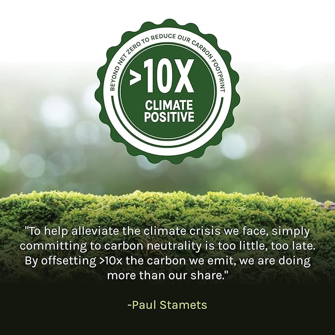 Host Defense MycoBrew Mocha - Mocha Drink Mix - Mocha Powder Includes Lion's Mane Mushroom - Drink Mix with Fair Trade Certified Cocoa & 100% Arabica Instant Coffee - 10.5 oz (20 Servings)