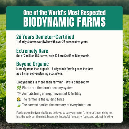 Dr. Cowan’s Garden Organic Ashitaba Herbal Tea, 20 Tea Bags - Liver Detox Rooibos Tea Bags with Milk Thistle, Calming Liver Support & Cleanse for Health and Well-Being, Ashitaba Herbs Grown in the USA