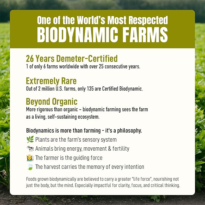 High‑Polyphenol Ashitaba Tea Blend – Demeter Certified Biodynamic U.S. Organic Ashitaba,Sencha Green Tea, with Elderberry & Olive Leaf – 20 Compostable Bags – Perfect for Detox, Metabolic Support