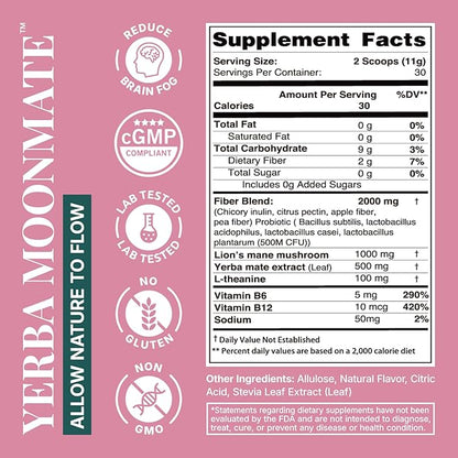 Yerba Mate Instant Tea Powder, 4-in-1 Functional Yerba Extract with Prebiotics & Probiotics, Low Sugar Clean Energy Drink for Focus, Gut Health & Reduce Brain Fog, Strawberry Matcha - 30 Servings