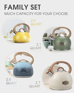Load image into Gallery viewer, Tea Kettle for Stovetop, 2.1 Quart Loud Whistle Stovetop Teapots,Food Grade Stainless Steel Tea kettles for Stove Top with Anti-hot Ergonomic Handle,Suitable for All Heat Sources