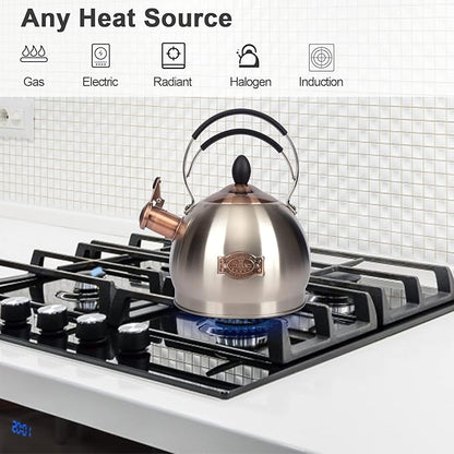 Whistling Tea Kettle Stainless Steel Teapot, Teakettle for Stovetop Induction Stove Top, Fast Boiling Heat Water Tea Pot 2.6 Quart