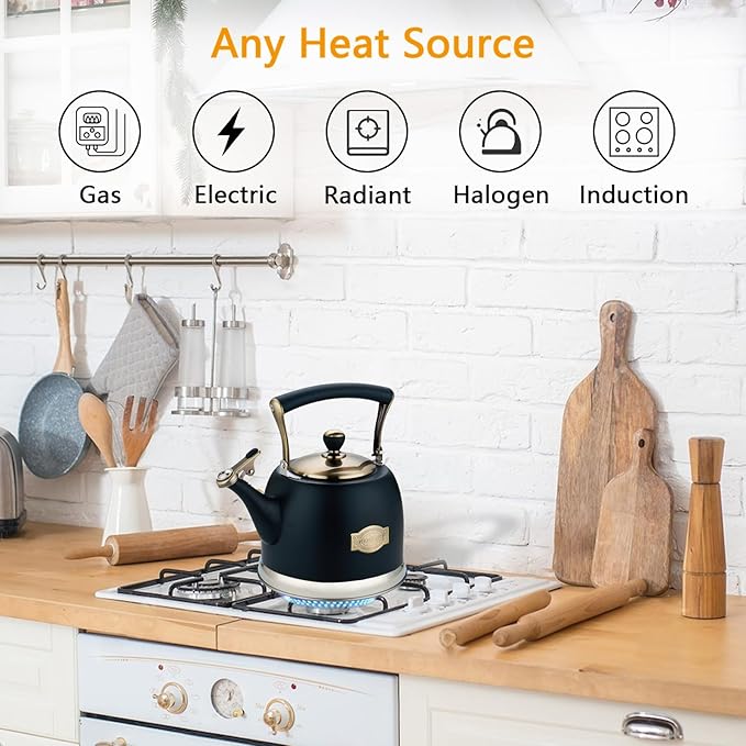 Tea Kettle Stainless Steel Teapot, Stainless Steel Teakettle for Stove Top with Heat Proof Ergonomic Handle 3.0 Quart